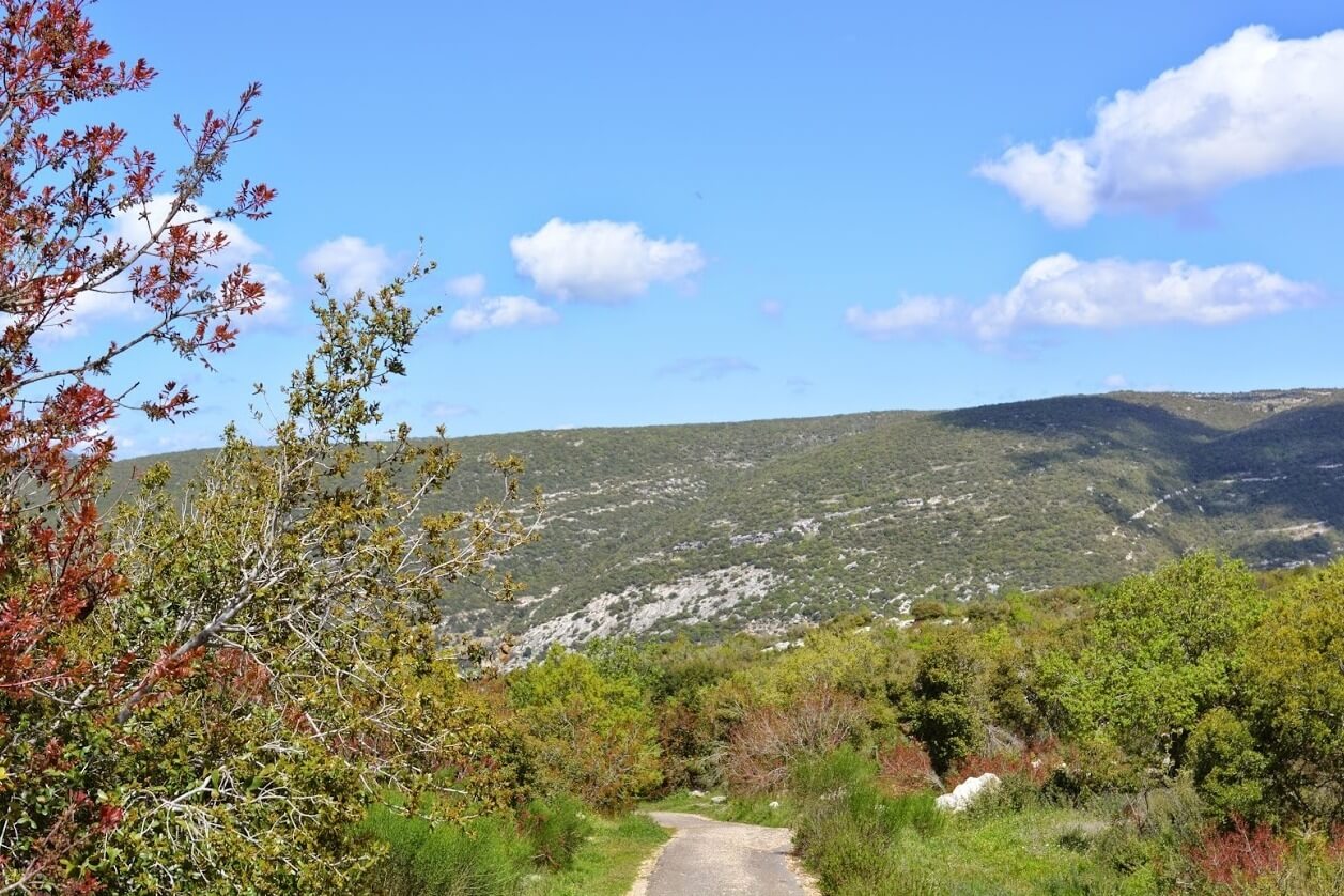 תמונה של הצימר הזוגי - 6
