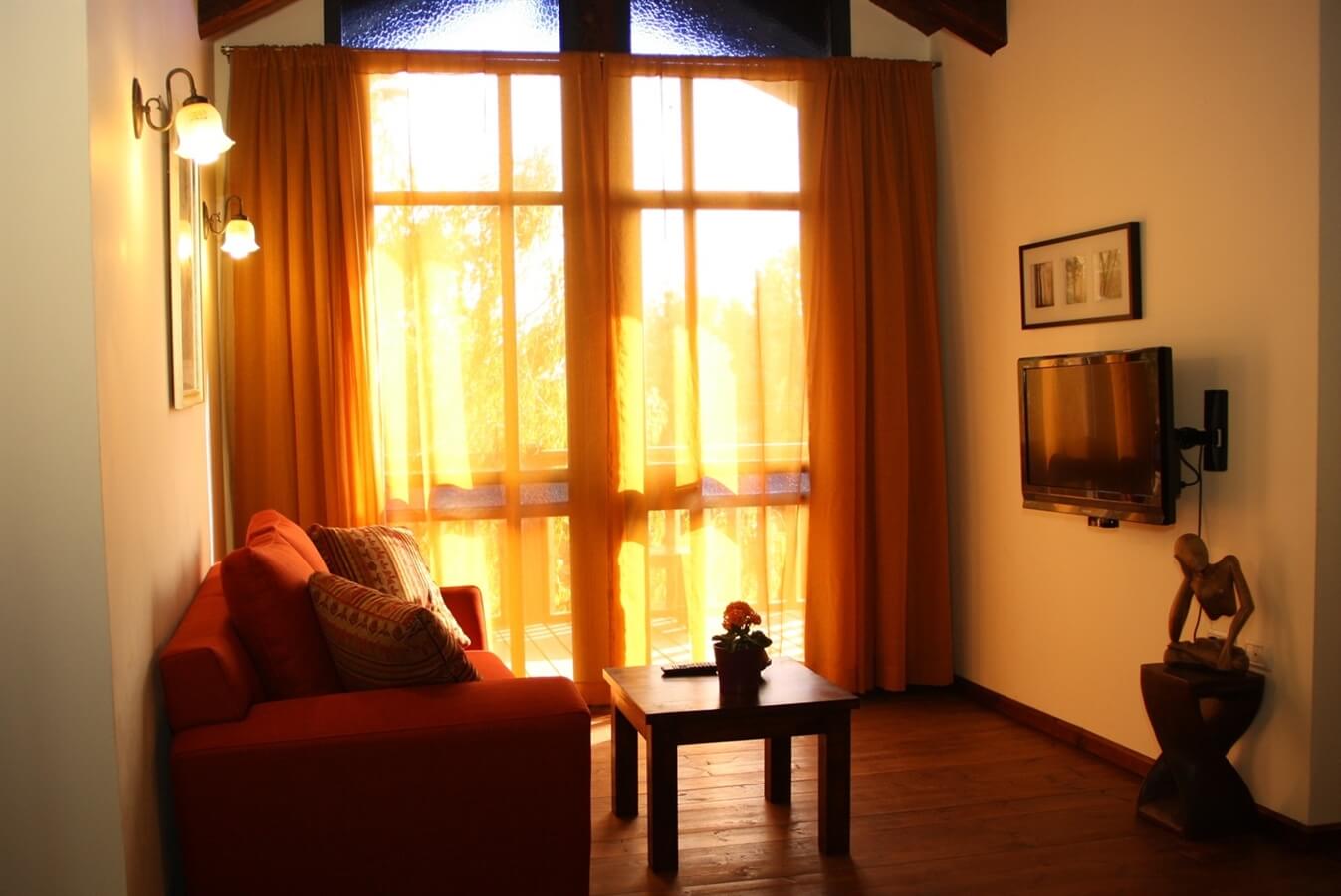 תמונה של לבנדר - 2