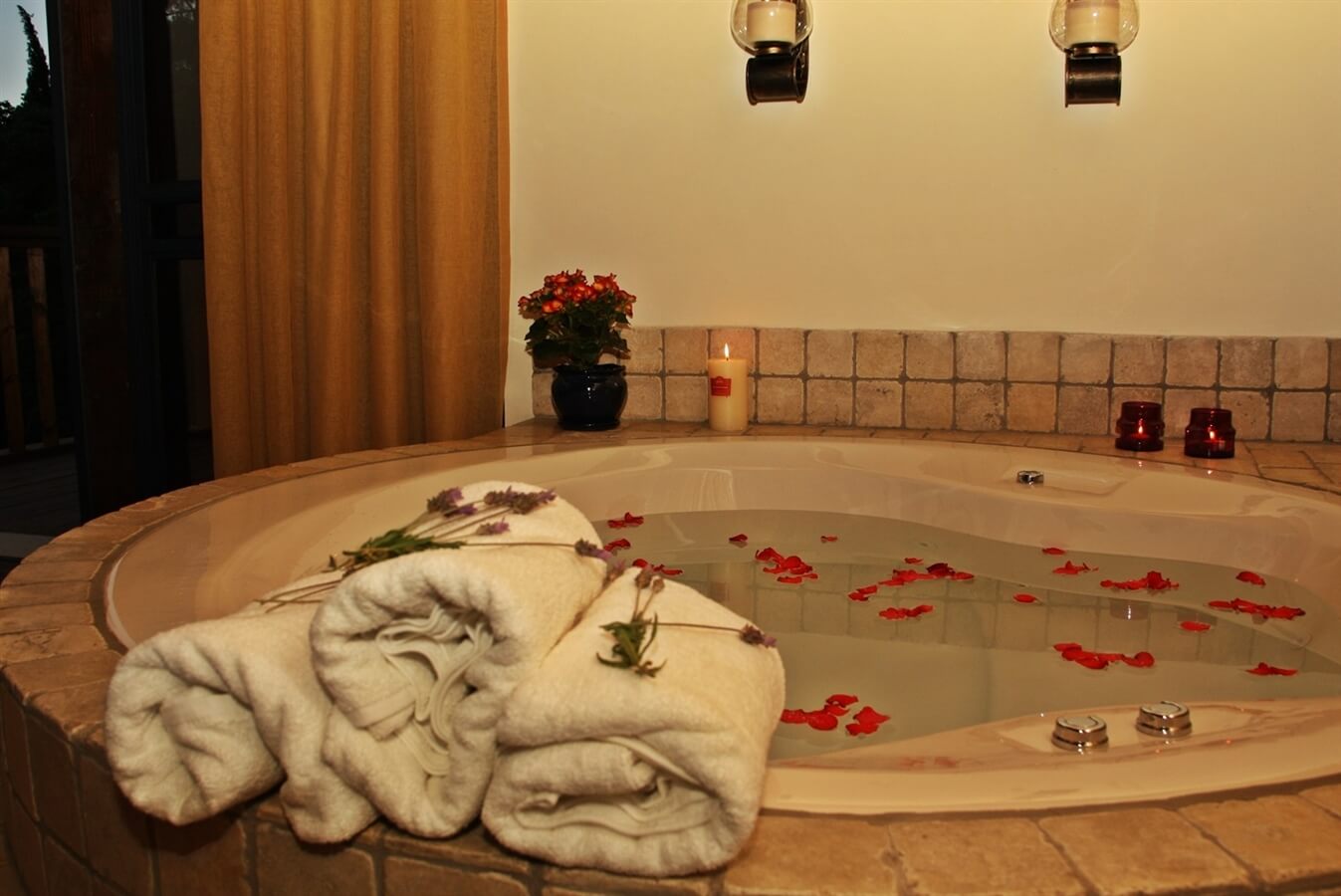 תמונה של רוזמרין - 4