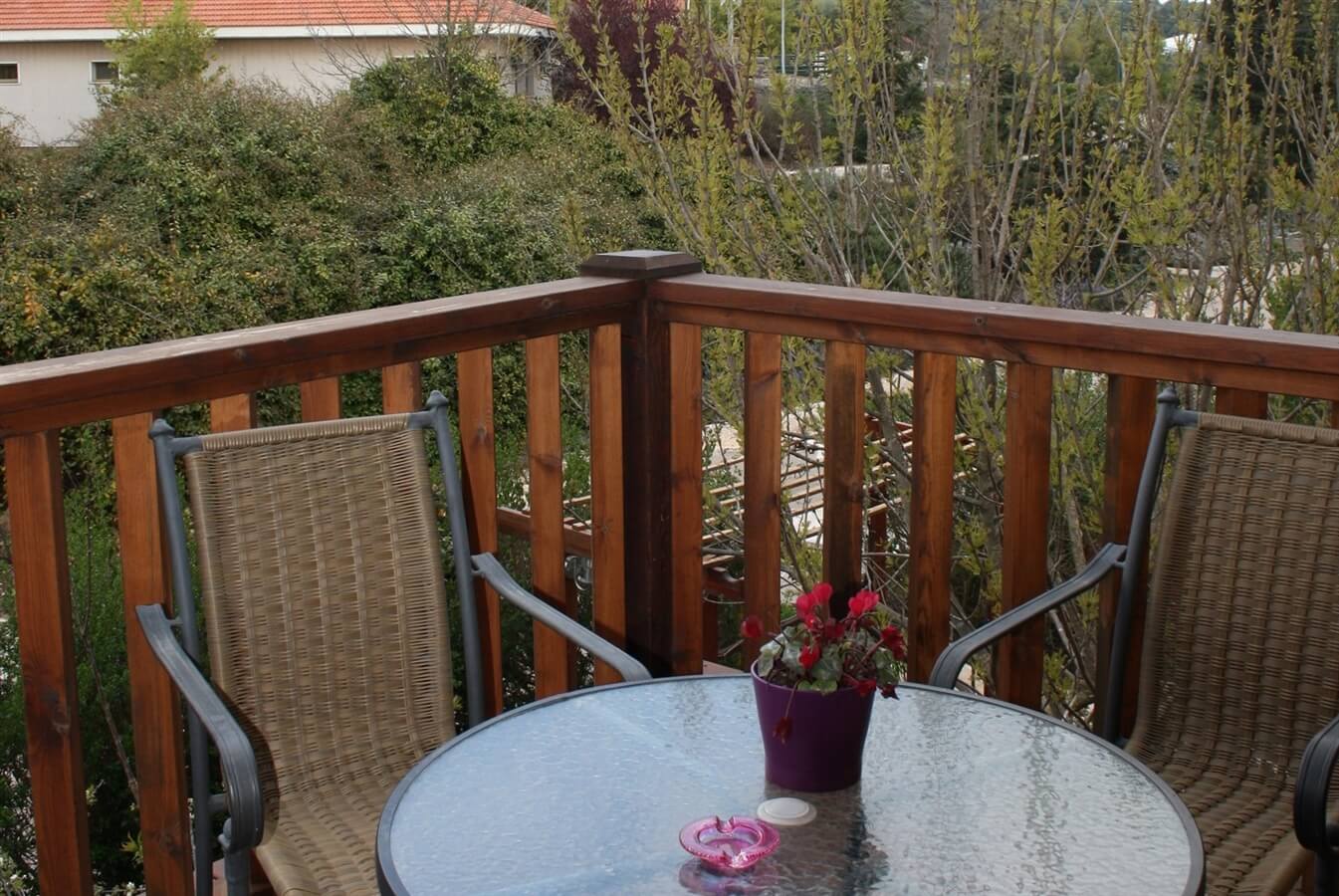 תמונה של רוזמרין - 7