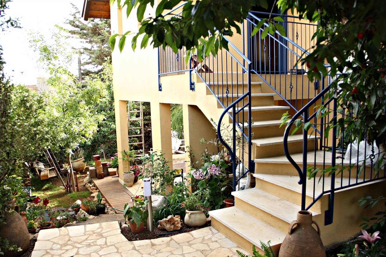 תמונה של לבנדר - 3