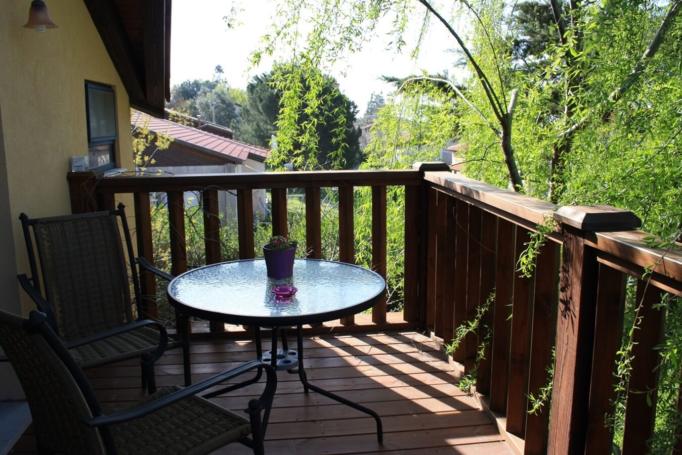 תמונה של רוזמרין - 8