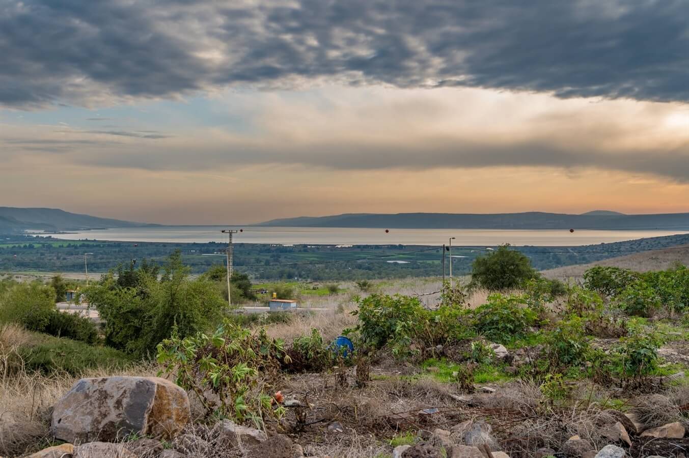 תמונה של סוויטת שמוליק - 15 תמונה של סוויטת שמוליק - 15