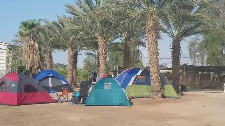 תמונה של מתחם קמפינג - 3 תמונה של מתחם קמפינג - 3