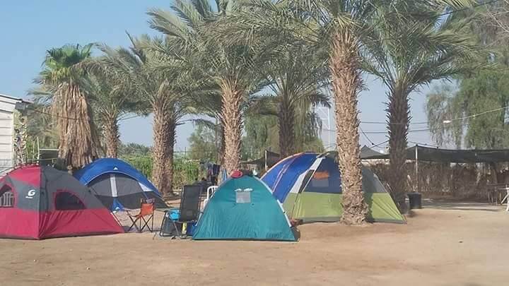 תמונה של מתחם קמפינג - 9 תמונה של מתחם קמפינג - 9