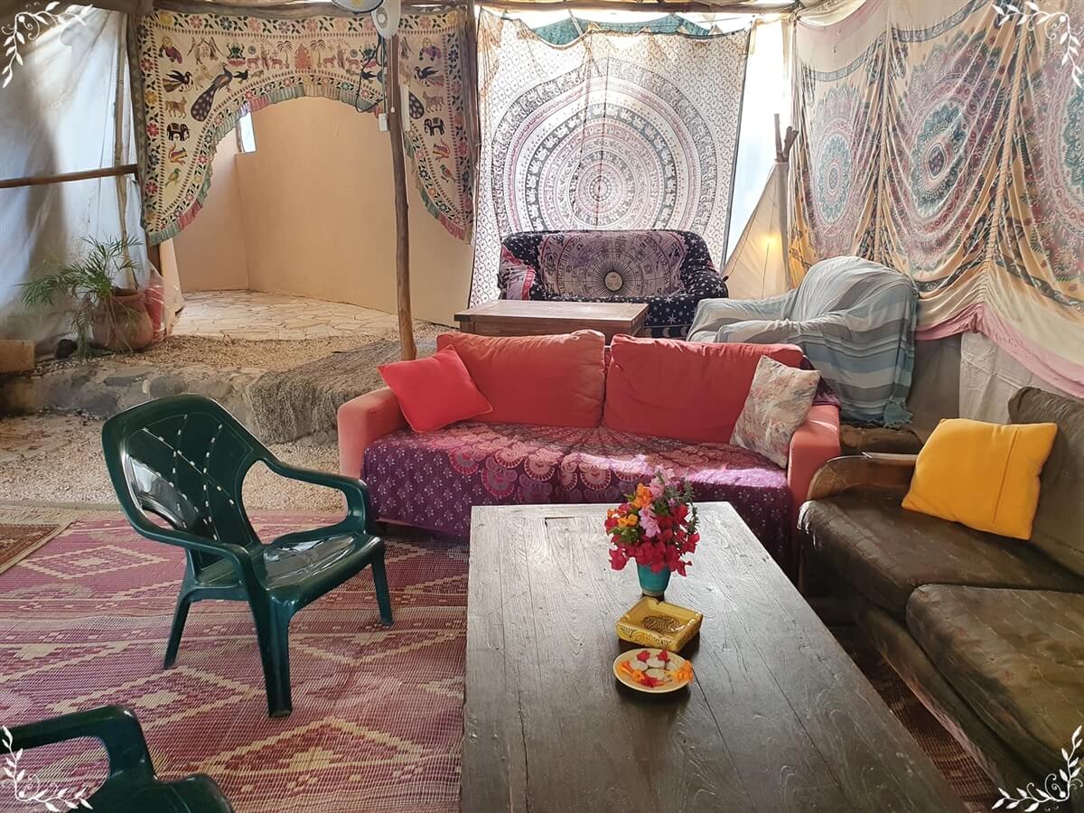 תמונה של האורחן - 3