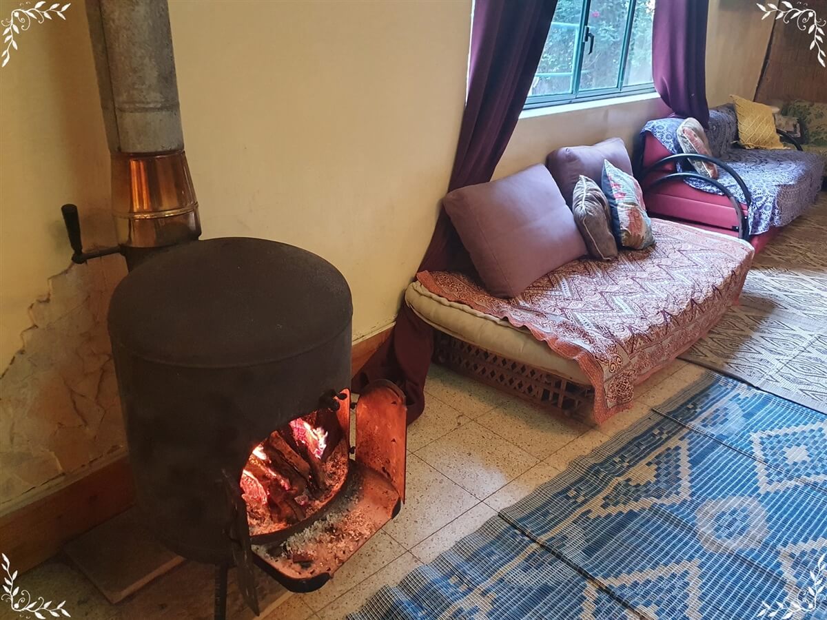 תמונה של האורחן - 2