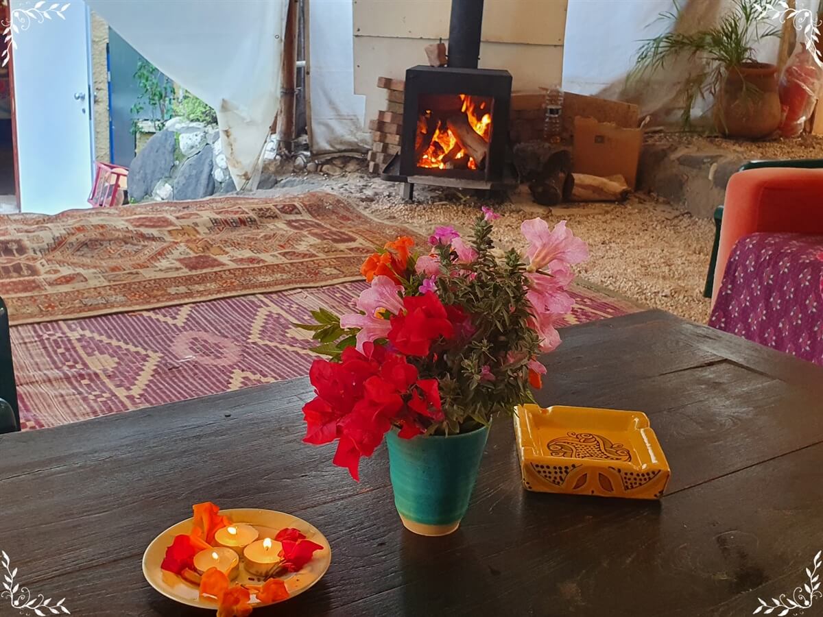 תמונה של האורחן - 4