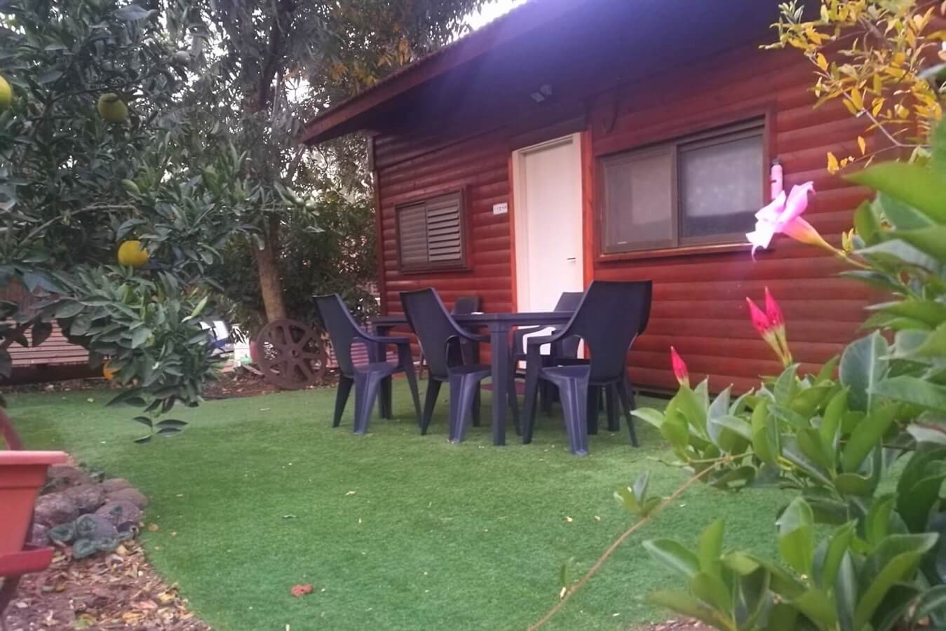 תמונה של חרמון - 4