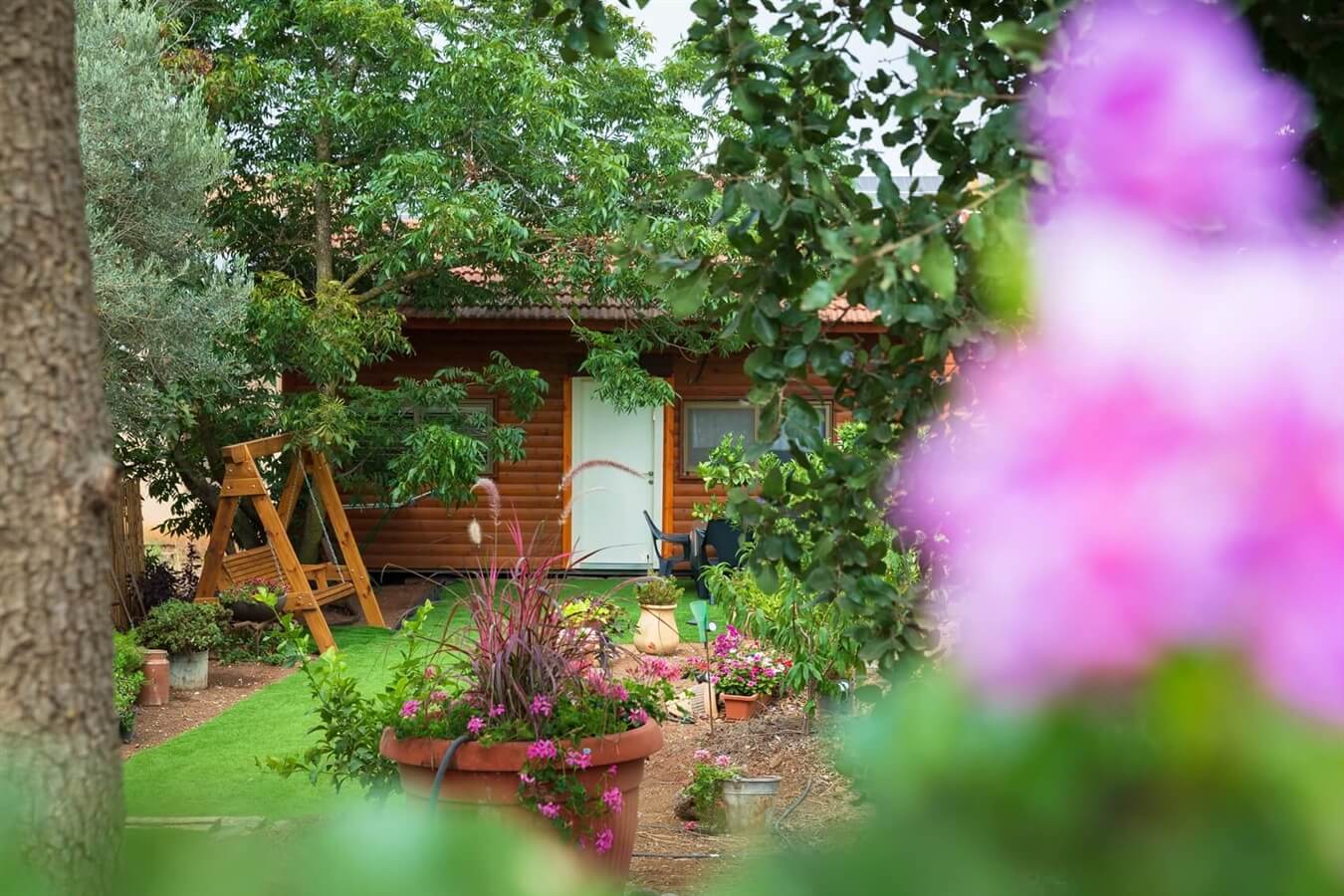 תמונה של חרמון - 8