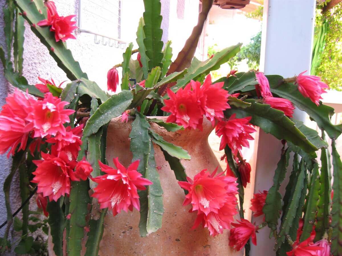 תמונה של יחידה 1 - 5