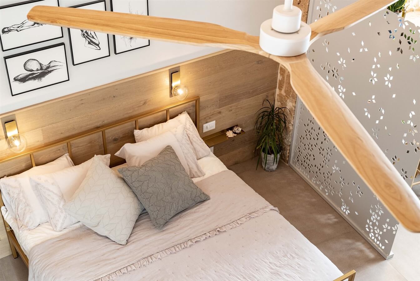 תמונה של מליסנדה II - 6 תמונה של מליסנדה II - 6