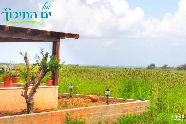 תמונה של הסוויטה - 8