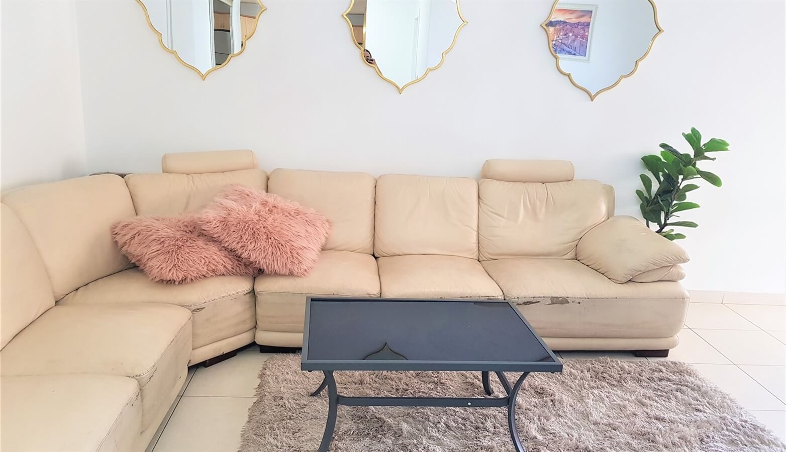 תמונה של דירת כנרת שלי - 2 תמונה של דירת כנרת שלי - 2