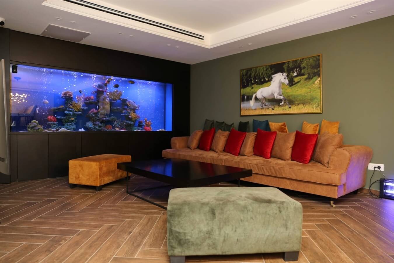 תמונה של הוילה - 3