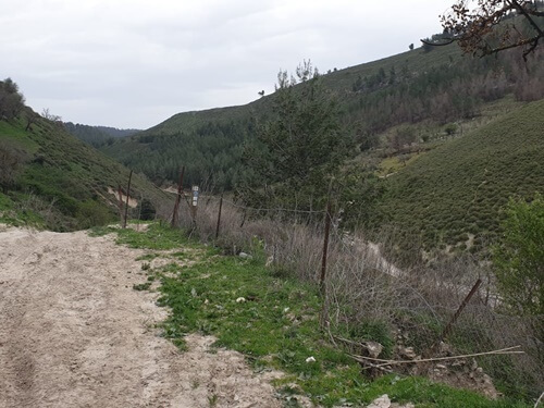 תמונה של טיולי ג'יפים ומסלולים