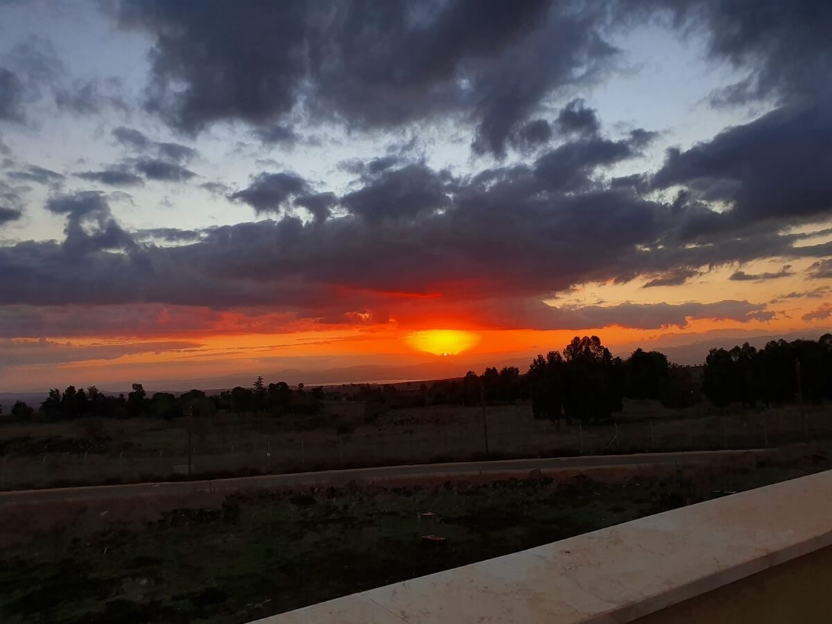 תמונה של יחידת הגג - 9