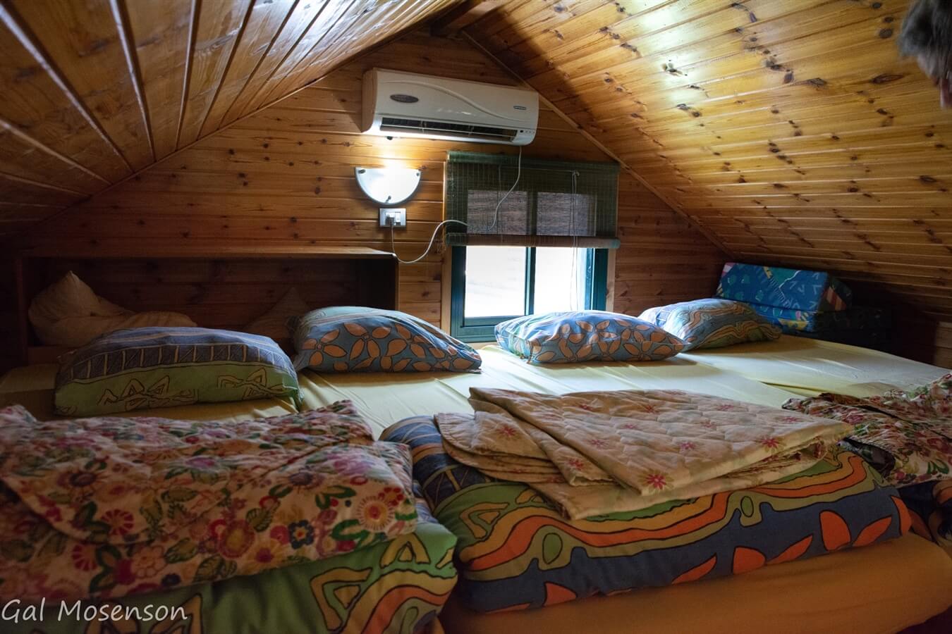 תמונה של בקתות העץ - 10