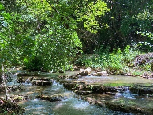 תמונה שצולמה בטיולי קלאב קאר נחל כזיב - 5 תמונה של טיולי קלאב קאר נחל כזיב - 5