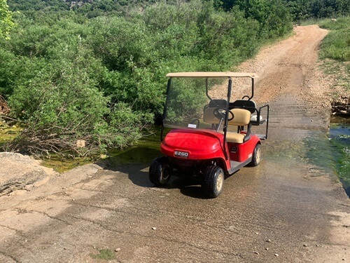 תמונה של טיולי קלאב קאר תמונה של טיולי קלאב קאר