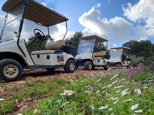 תמונה של טיולי קלאב קאר תמונה של טיולי קלאב קאר