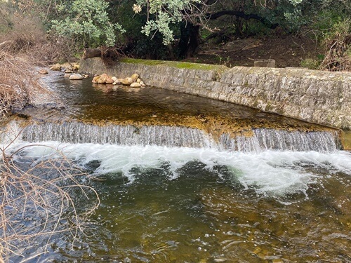תמונה של טיולי קלאב קאר תמונה של טיולי קלאב קאר