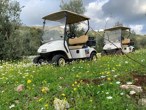 תמונה שצולמה בטיולי קלאב קאר נחל כזיב - 3 תמונה של טיולי קלאב קאר נחל כזיב - 3