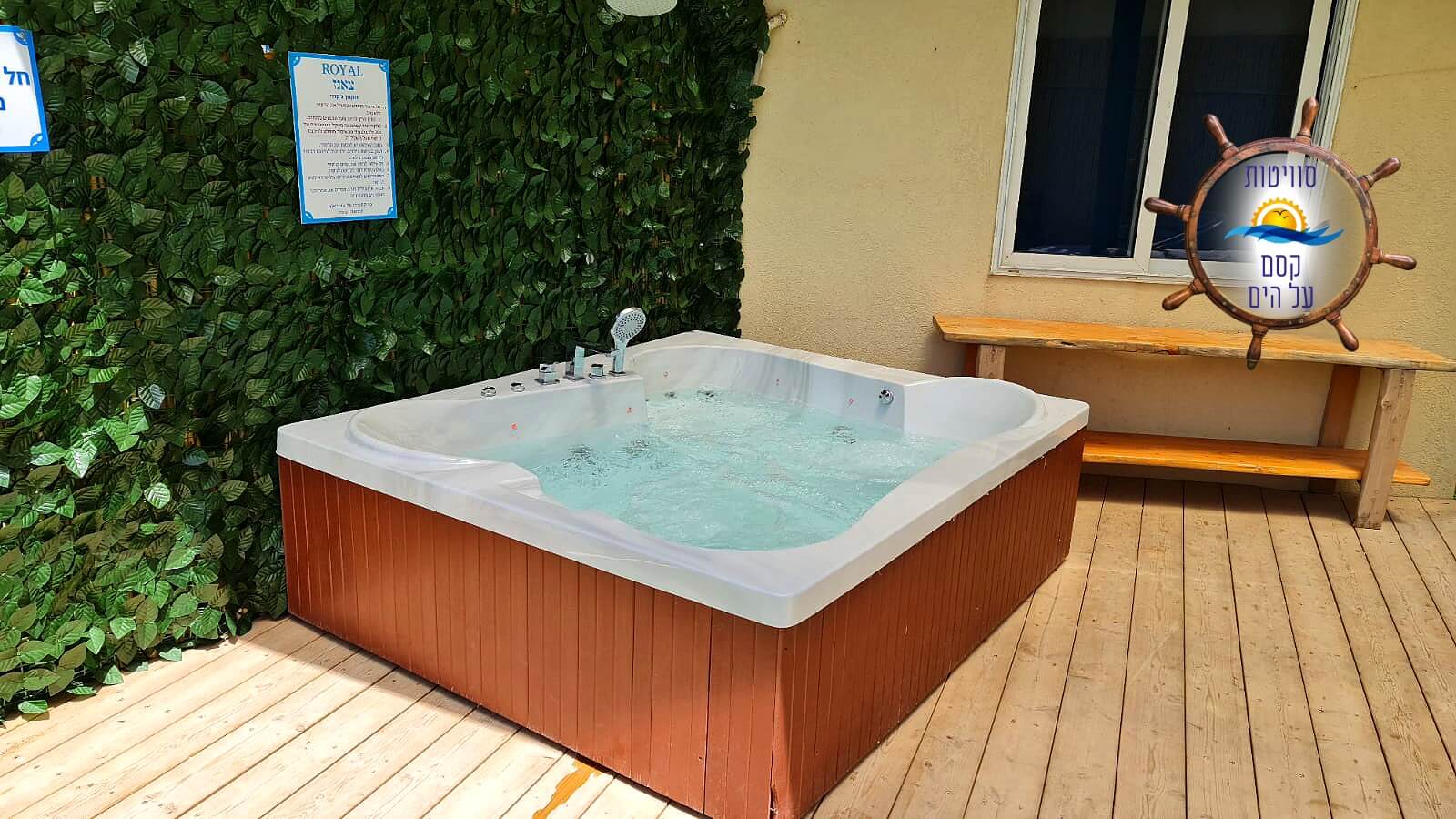 תמונה של כוכב הים - 6