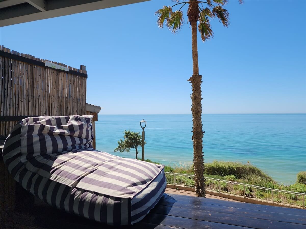 תמונה של טרסת העץ המלכותית - 6