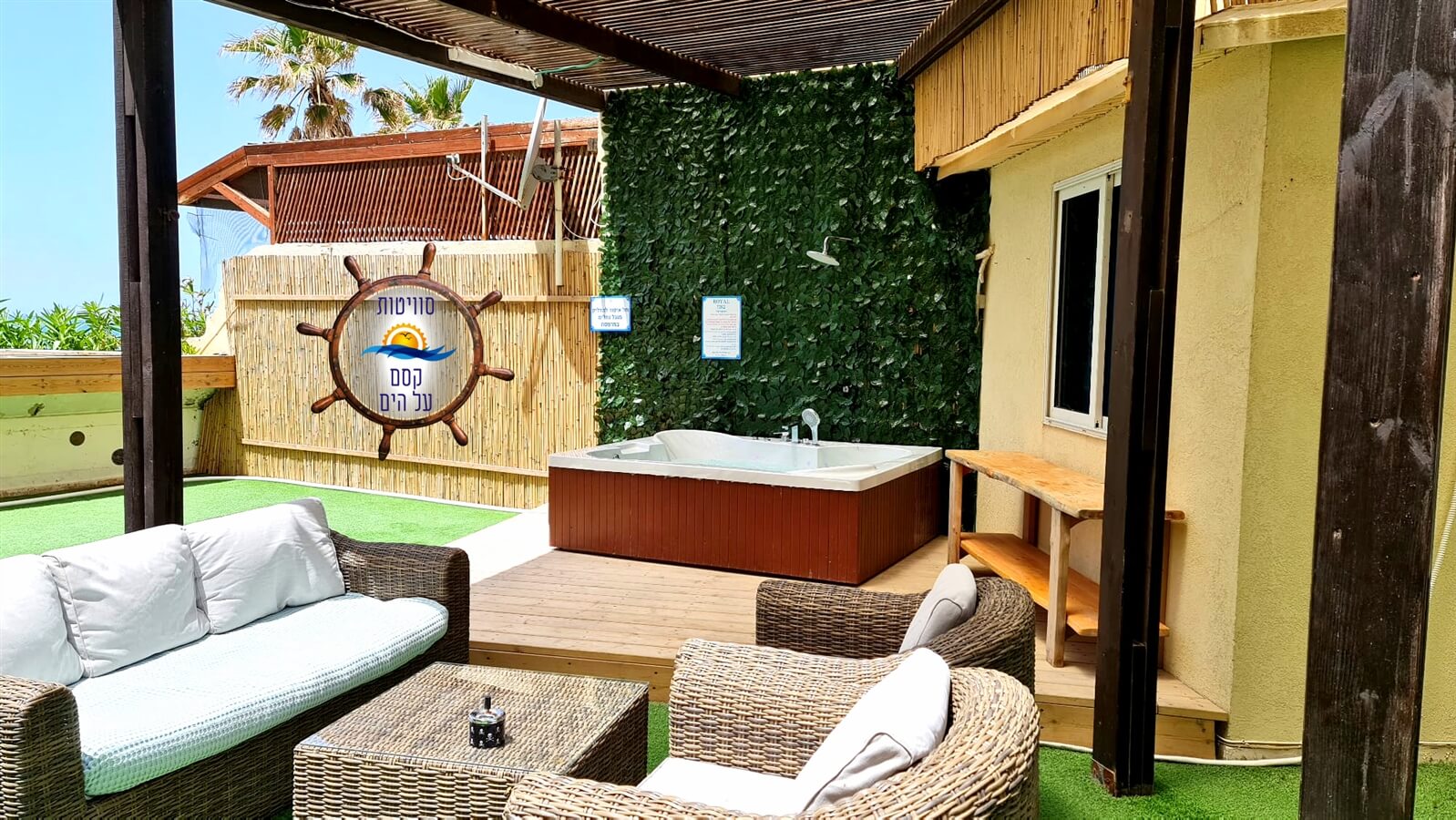 תמונה של כוכב הים - 5