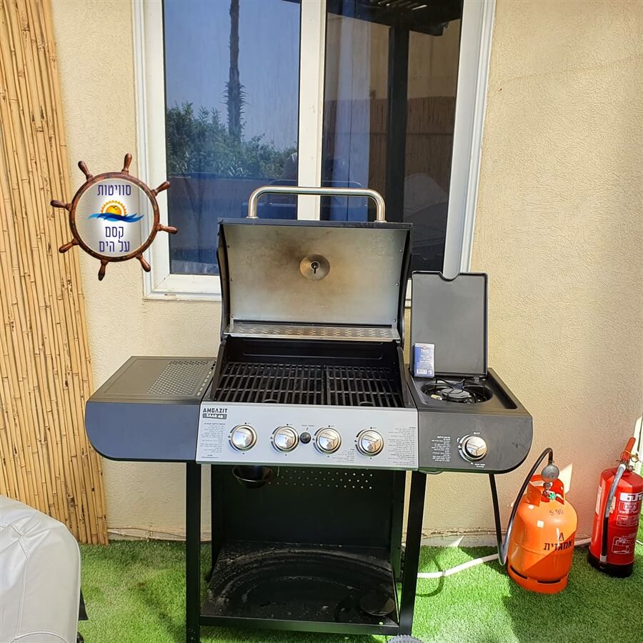 תמונה של כוכב הים - 8