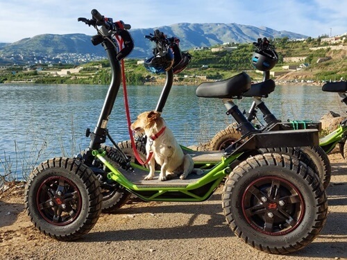 תמונה של טיולי ריידרים