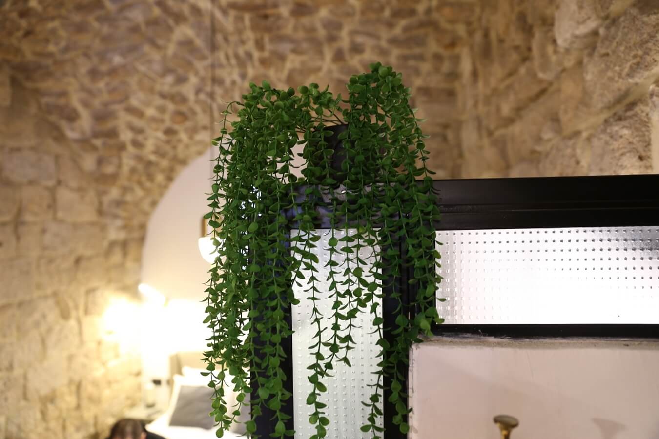 תמונה של יחידת האירוח - 2