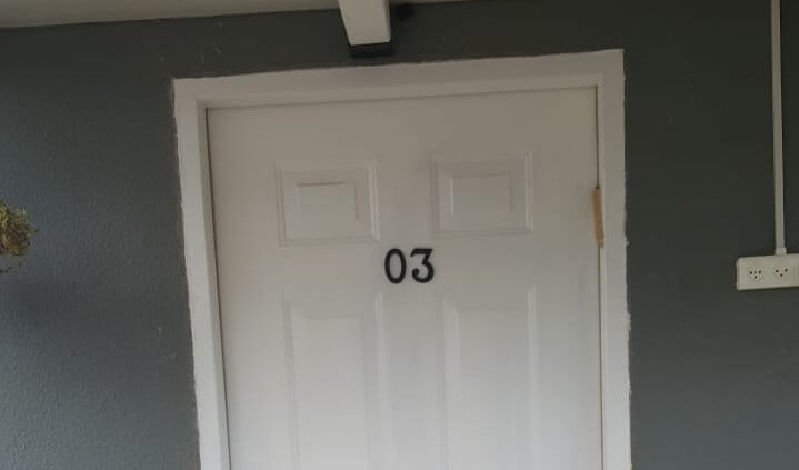 תמונה של תמר - 2