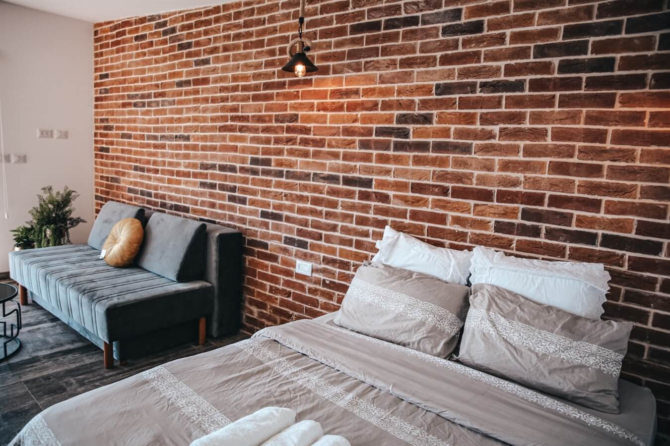 תמונה של הסוויטה - 3