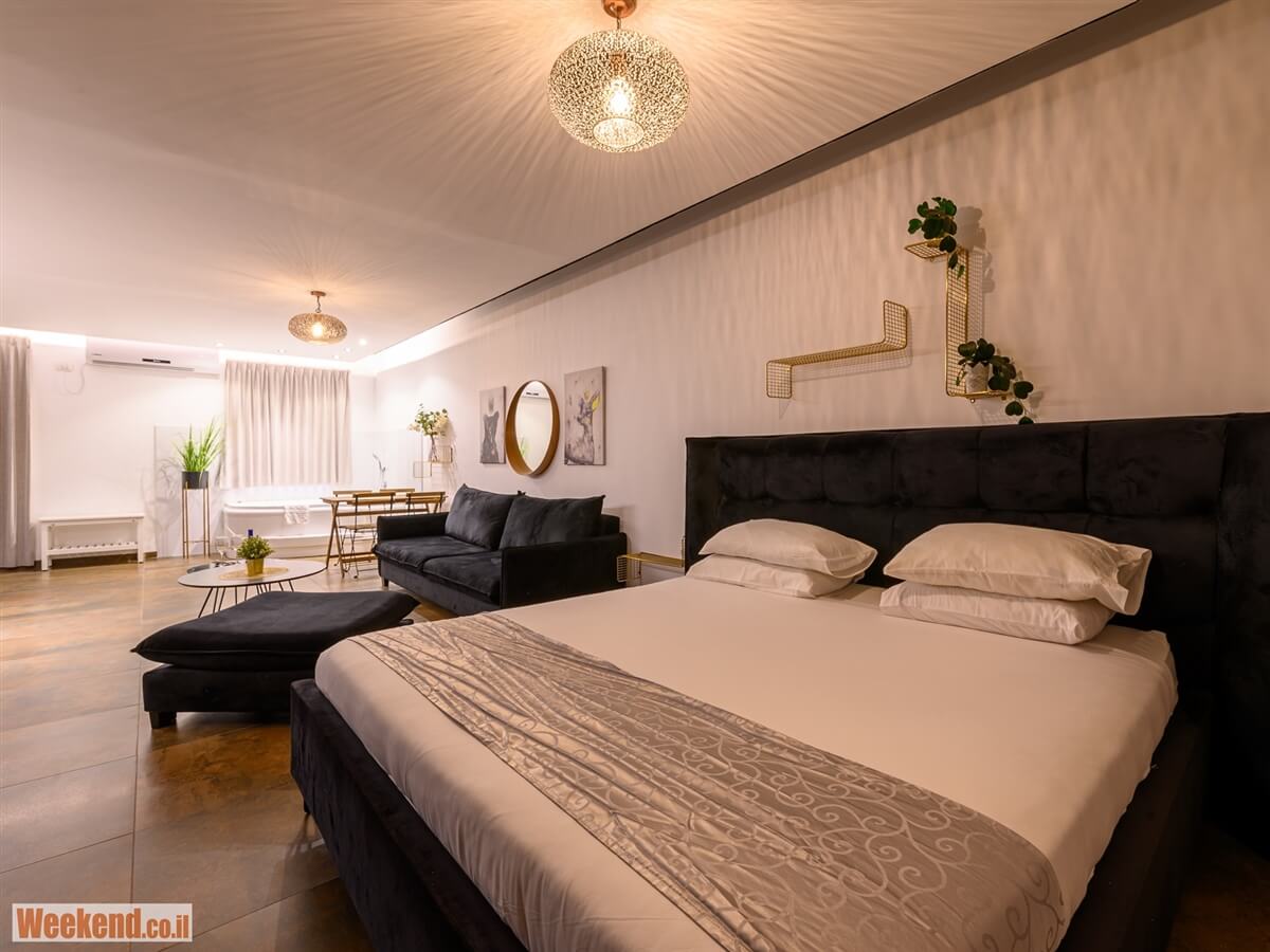 תמונה של הסוויטה המודרנית - 4