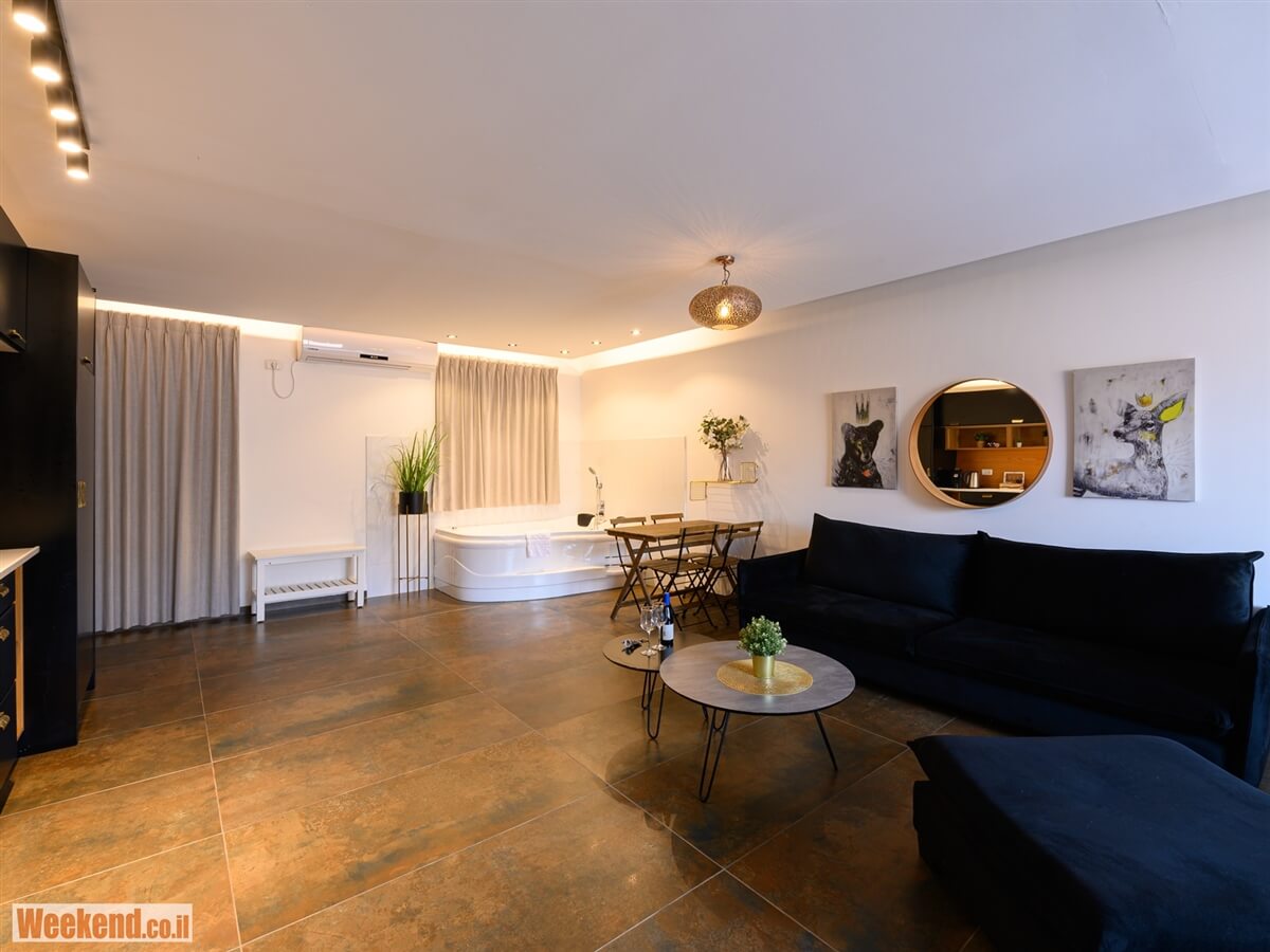 תמונה של הסוויטה המודרנית - 13