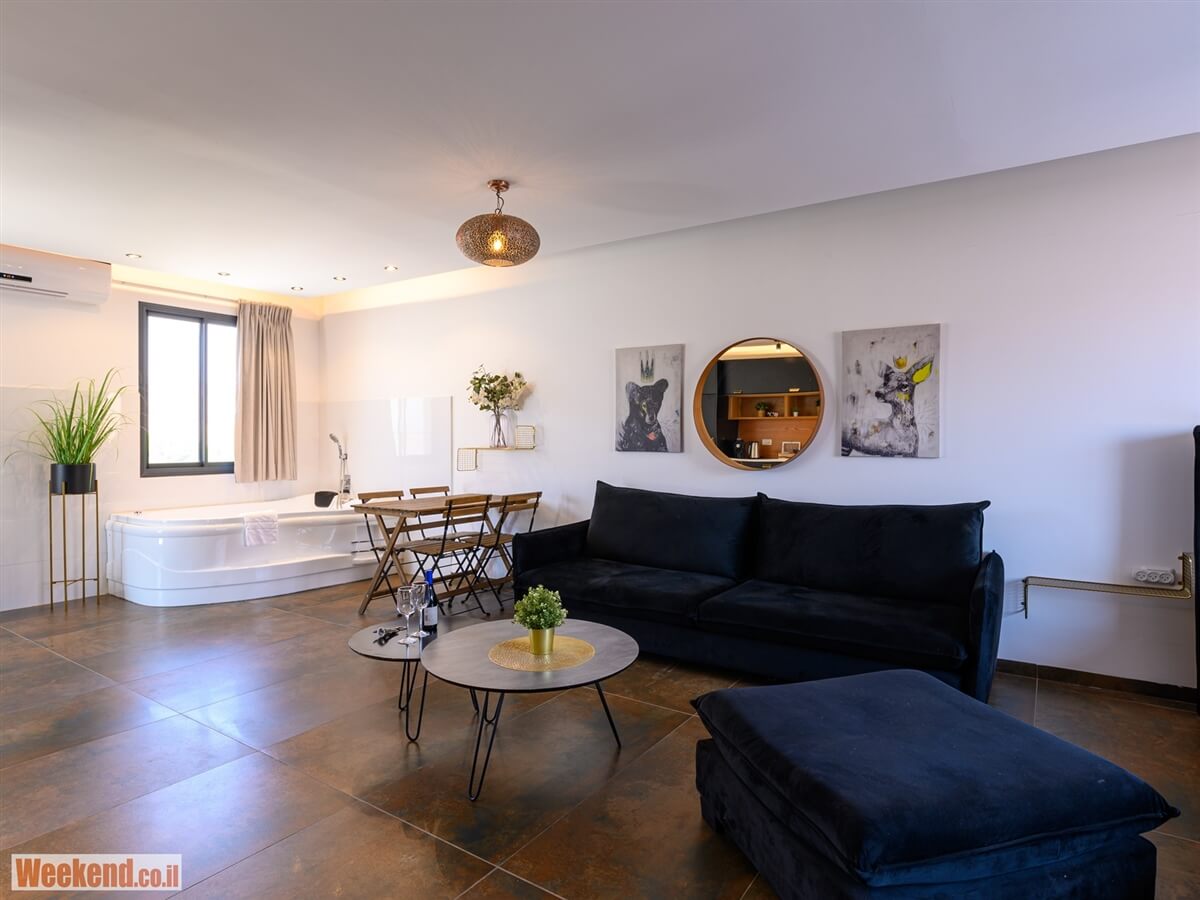 תמונה של הסוויטה המודרנית - 12