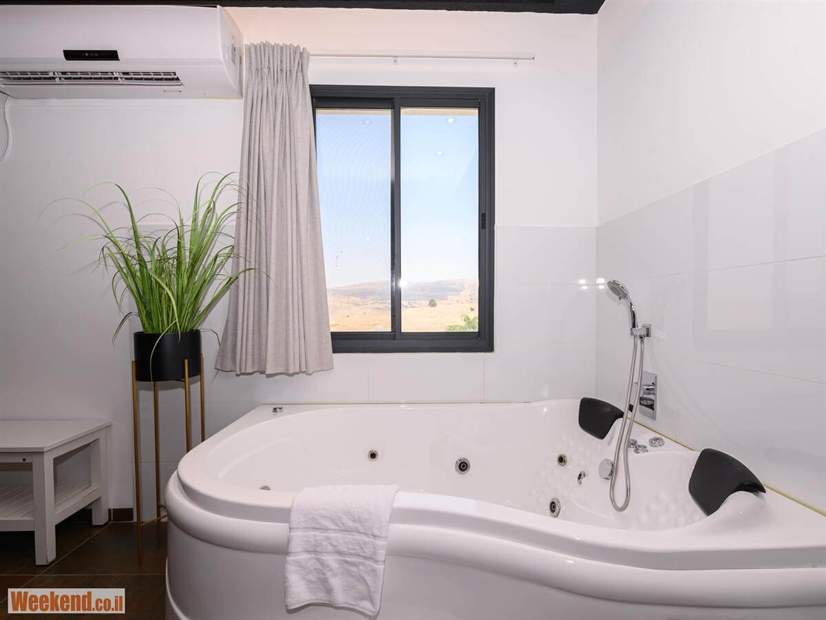 תמונה של הסוויטה המודרנית - 10