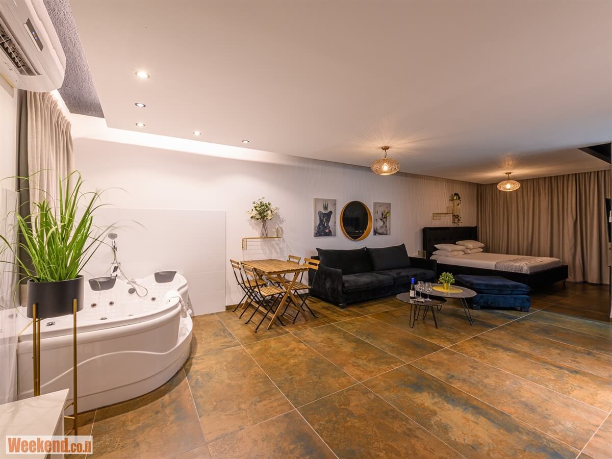 תמונה של הסוויטה המודרנית - 9