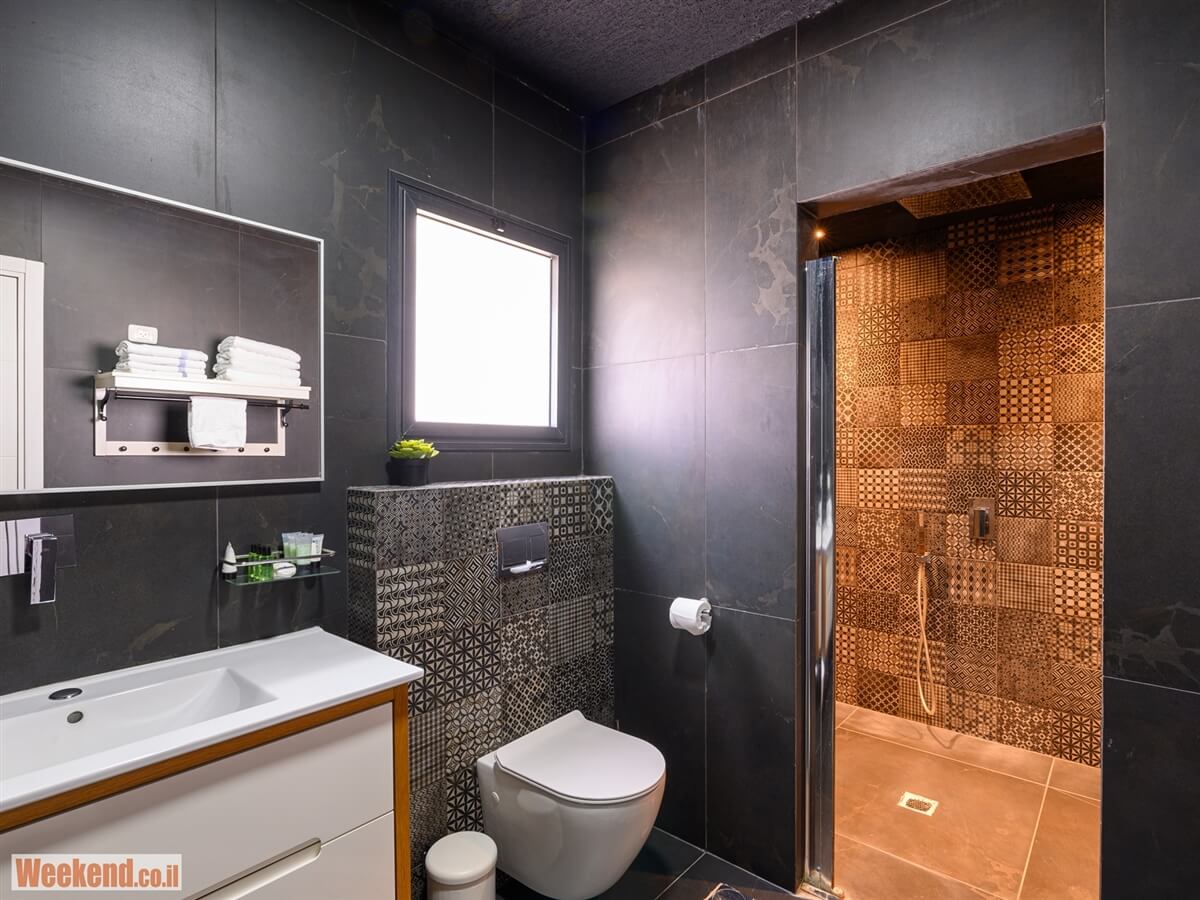 תמונה של הסוויטה המודרנית - 15