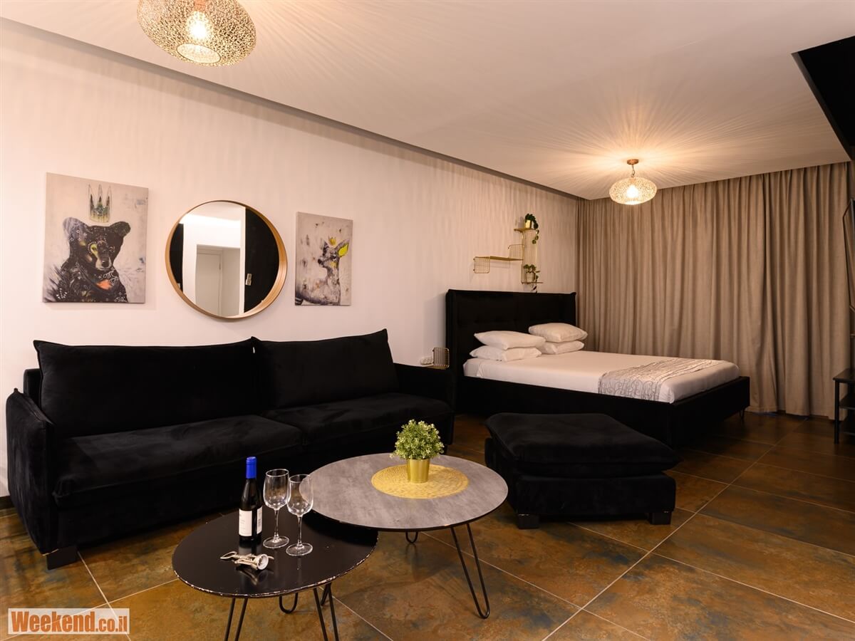 תמונה של הסוויטה המודרנית - 6