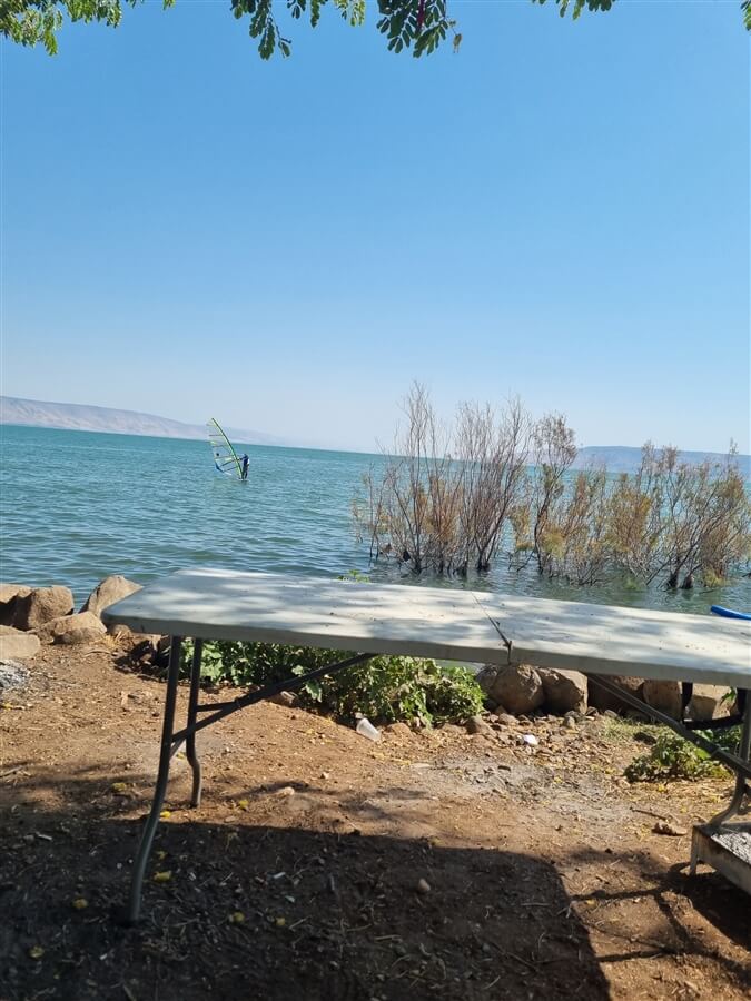 תמונה של הקרוואן הקטן - 9 תמונה של הקרוואן הקטן - 9