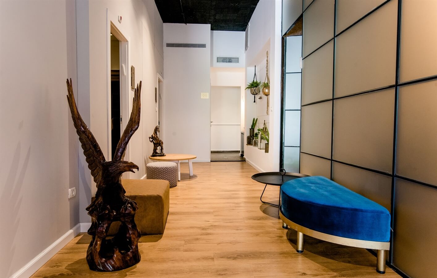 תמונה של סוויטות W - 11