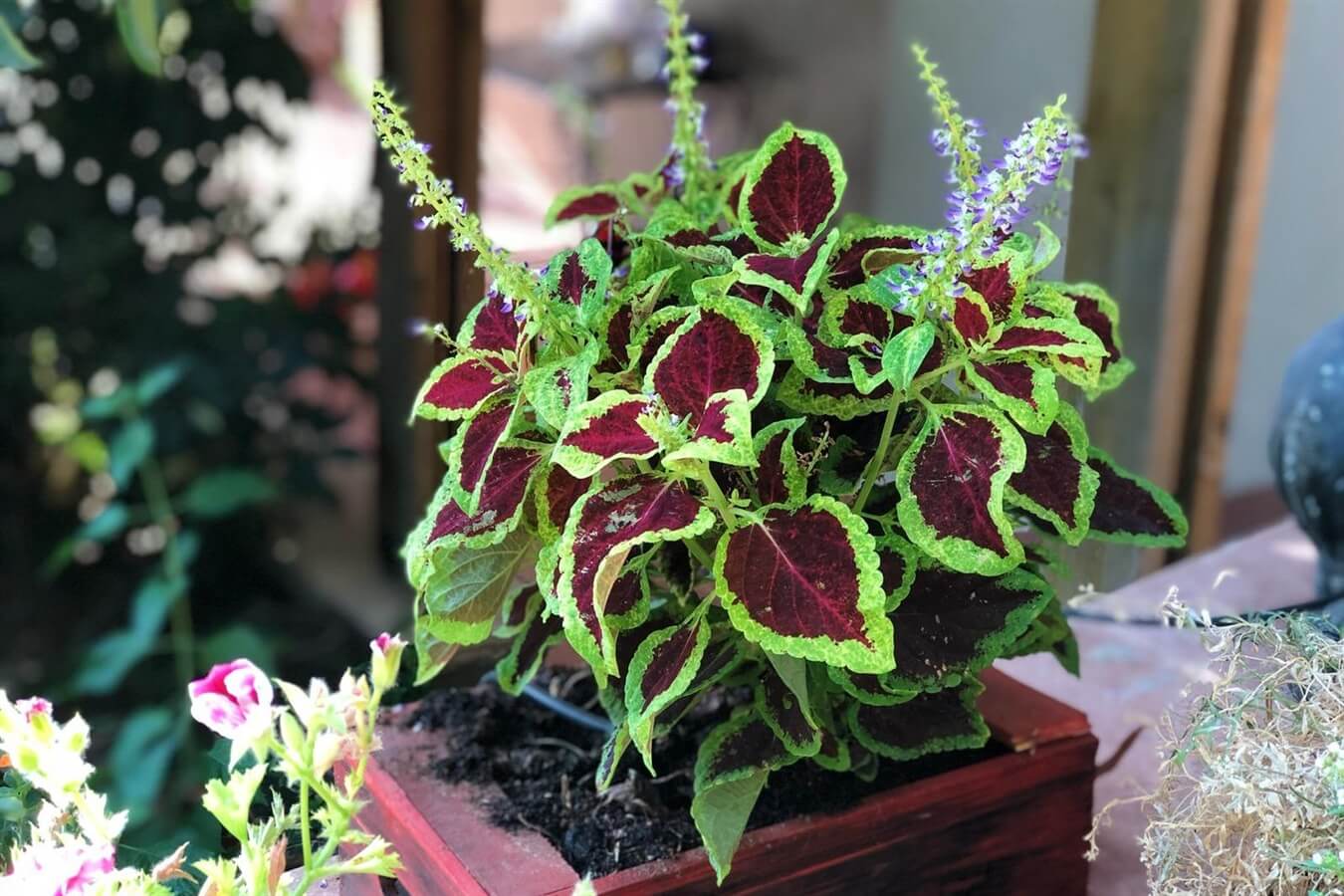 תמונה של יחידה 2 - 6