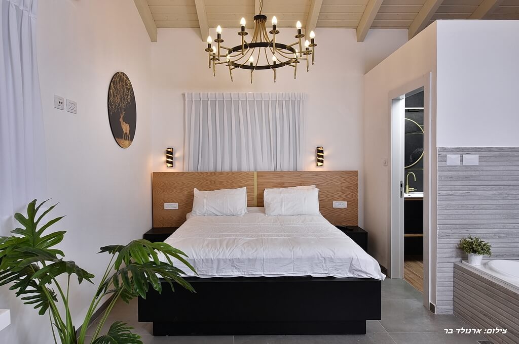 תמונה של סוויטת תמר - 2