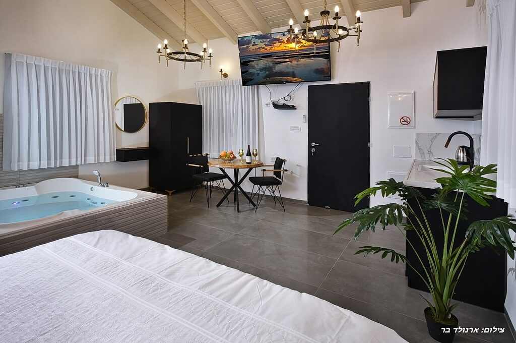 תמונה של סוויטת תמר - 7