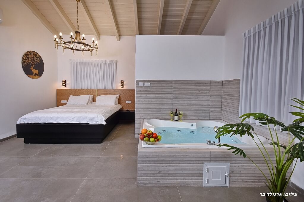 תמונה של סוויטת תמר - 5