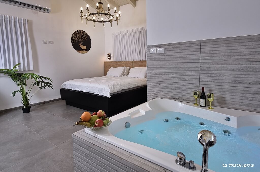 תמונה של סוויטת תמר - 4