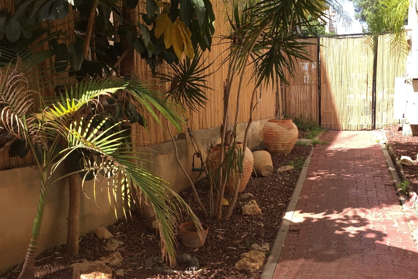 תמונה של היחידות הזוגיות - 6